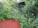 Віталій Раєвський фотография #49 (источник - https://vk.com/id156572362)