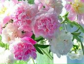 Inna♥sweet Kobyleva фотография #48 (источник - https://vk.com/id95467402)