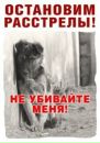 Фотография Басар Аллы