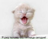 Дмитрий Недбайло фотография #4 (источник - https://vk.com/id1300758)