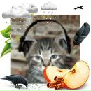 Alex Fox фотография #40 (источник - https://vk.com/id40662)