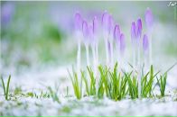 Фотография Малоголовки Ольги