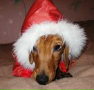 Фотография Харюковой Ольги