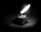 Фотография Полевиковой Екатерины