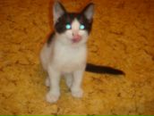 Фотография Викторовича Алексея