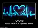 Shekspir ^_^ фотография #1