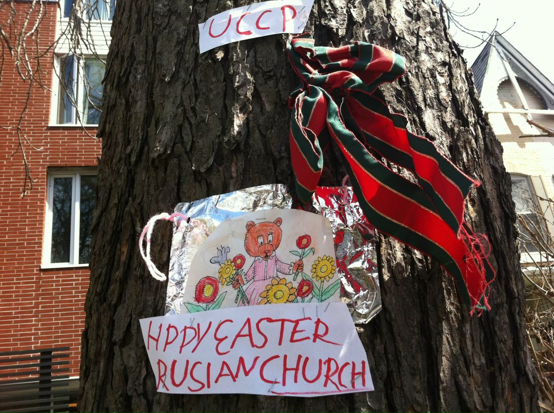 Ксения Белошеева фотография #48