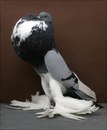Вітя Ковальчук фотография #18 (источник - https://vk.com/id170804300)