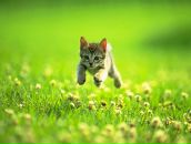 Фотография Komleva Катюшки