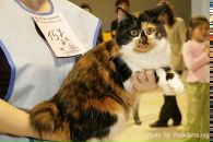 Фотография Перчиковой Елены