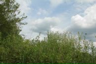 Андрій Світлицький фотография #9 (источник - https://vk.com/id2321783)