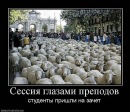 Фотография Григорьевой Дарьи