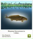 Сергій Ваксютенко фотография #12 (источник - https://vk.com/id133291802)