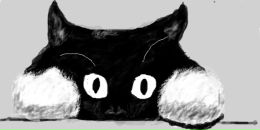 Роміо Дон фотография #43 (источник - https://vk.com/id24048523)