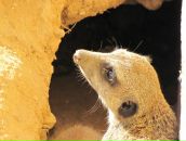 Фотография Корсаковой Елены