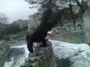 Андрік Тимосевич фотография #20 (источник - https://vk.com/id136290573)