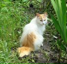 Таня Долішна фотография #3 (источник - https://vk.com/id135064235)