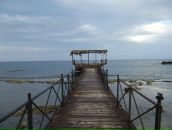 Pini Pini фотография #14 (источник - https://vk.com/id101052009)