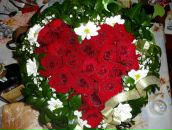 Ірина Гіщинська фотография #38 (источник - https://vk.com/id68145970)