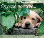 Тарас Цахній фотография #43 (источник - https://vk.com/id110332140)