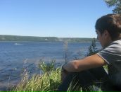 Фотография Тюльпана Фанфана