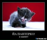 Аліна Котова фотография #44 (источник - https://vk.com/id6179769)