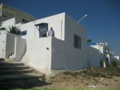 Dim Dom фотография #1