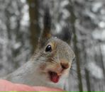 Фотография Гладышевой Анастасии