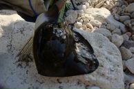 Олег Дідух фотография #41 (источник - https://vk.com/id94071237)