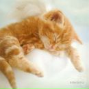 Фотография Орловой Юлии