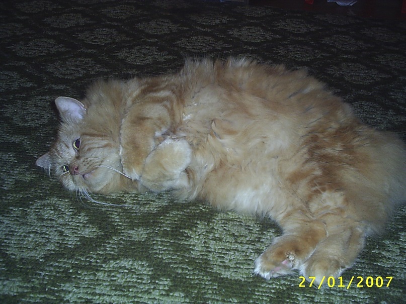 Аполинария Страх фотография #46