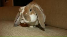 Фотография Кашперко Анастасии