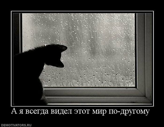 Иван Друковский фото №24