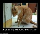 Фотография Викторовича Михаила