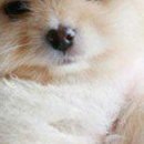 Надя Бабійчук фотография #13 (источник - https://vk.com/id147804112)