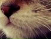 Яна Excale фотография #8 (источник - https://vk.com/id727315)