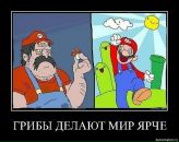 Фотография Козыря Михаила