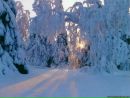 Настюша Снігур фотография #17 (источник - https://vk.com/id154344666)