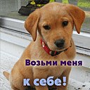 Іванка Осійчук фотография #16 (источник - https://vk.com/id145650715)