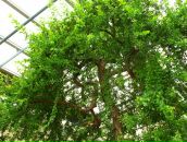 Alexey Dushen фотография #40 (источник - https://vk.com/id670180)