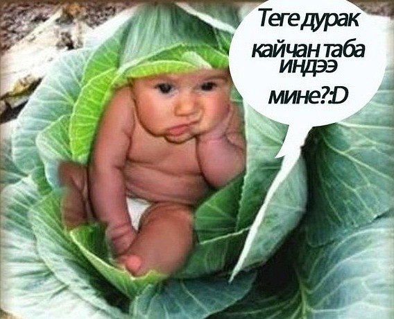 №12, Клара Хусаинова №12, Клара Хусаинова