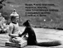 Фотография Сидоровой Екатерины