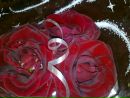 Олеся Стрільчук фотография #27 (источник - https://vk.com/id103180388)
