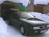 Фотография Лобанова Валерия