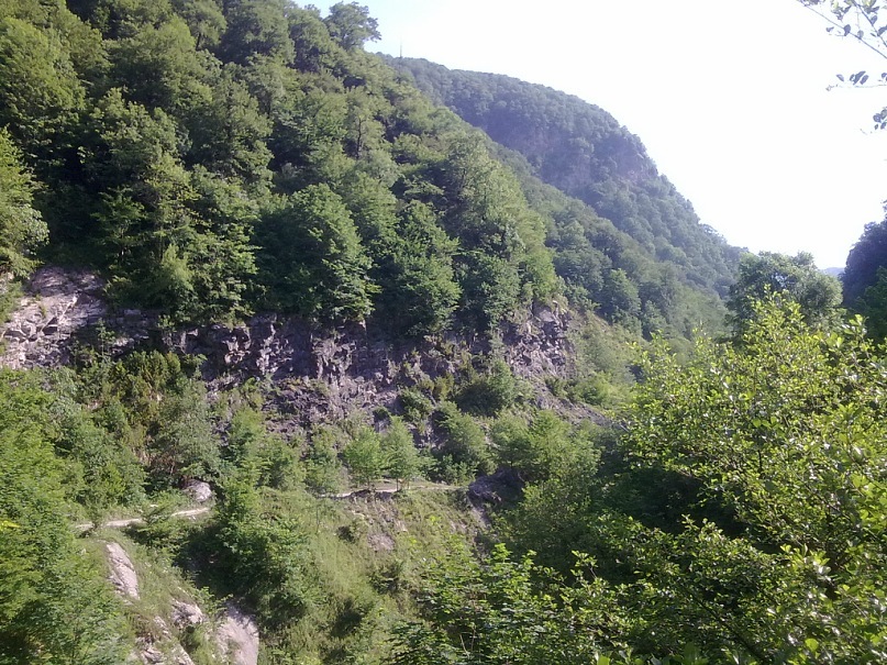 Дмитрий Туркевич фотография #22