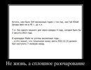Володимир Канцідайло фотография #42 (источник - https://vk.com/id141867083)
