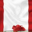 Фотография Гусева Алексея