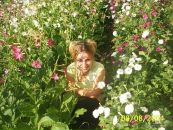 Фотография Неподобной Аллы