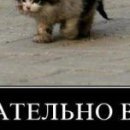 Юлія Турська фотография #23 (источник - https://vk.com/id135249604)