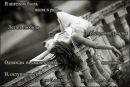 Ліля Ярославівна фотография #16 (источник - https://vk.com/id120924509)